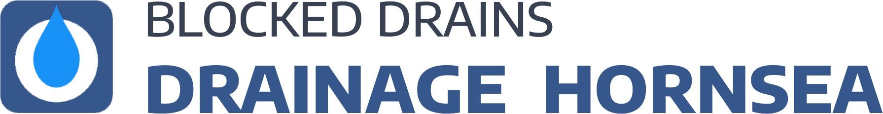 website logo